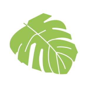 Leaf icon